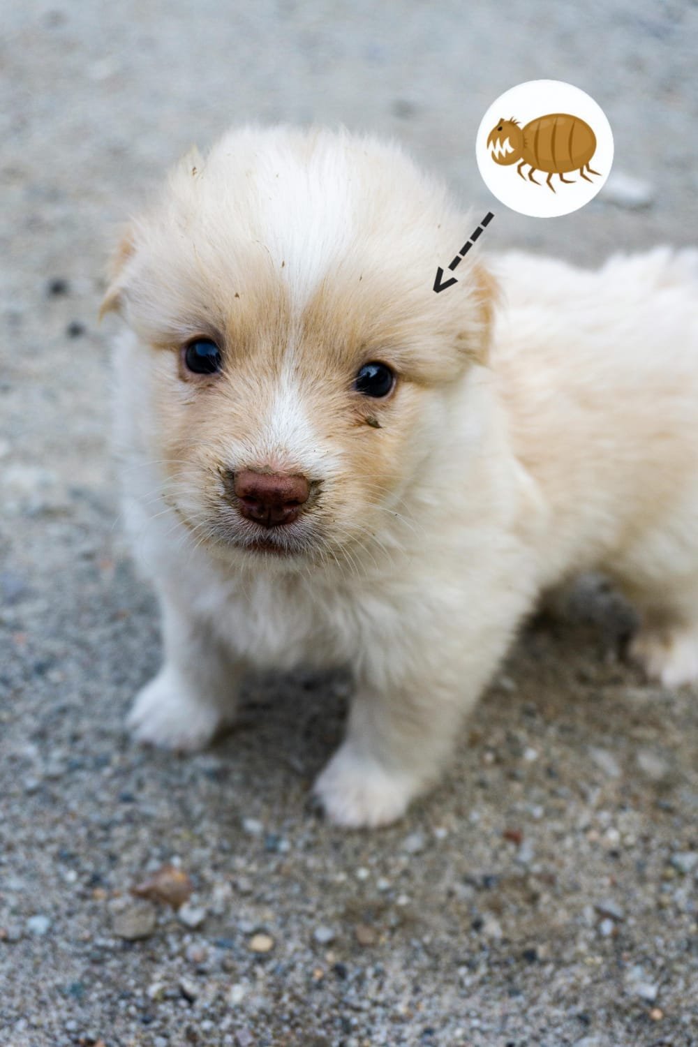 whatsapp image 2026 03 23 at 9.42.38 am