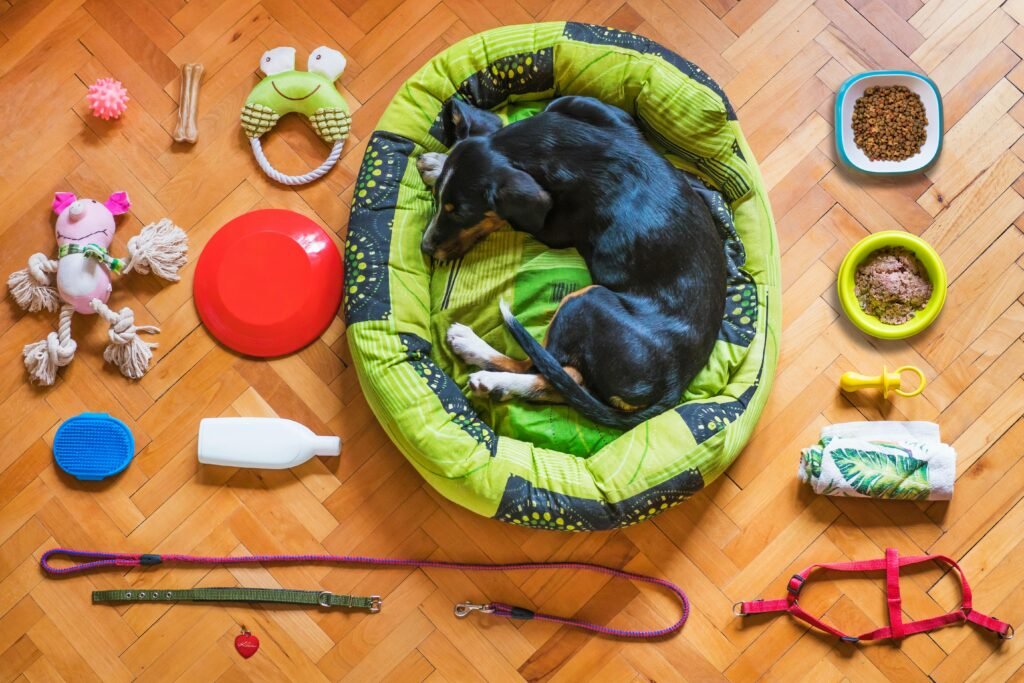 Home A dog relaxing in a bed surrounded by various pet accessories on a wooden floor.